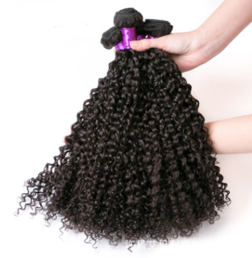 3 Brazilian Virgin Kinky Curly Bundle