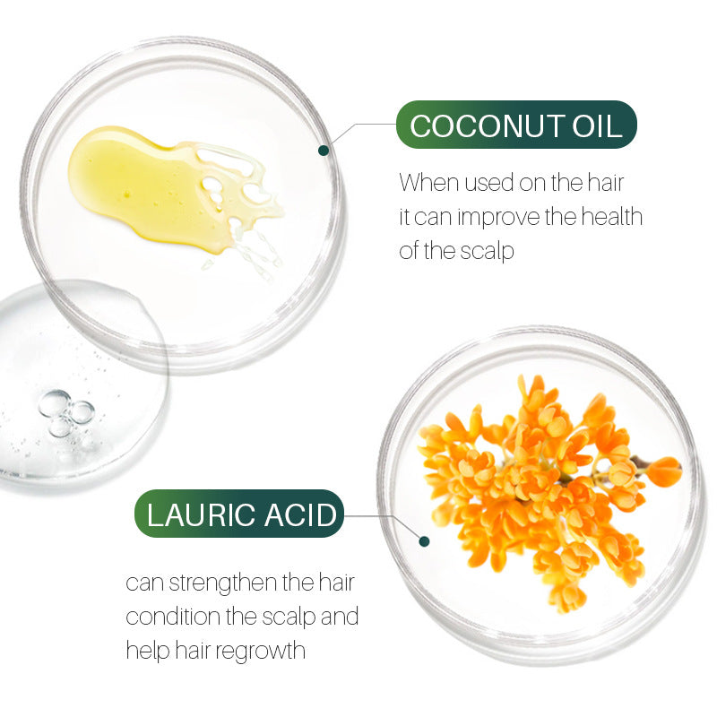 Pansly Tea Tree Shampoo