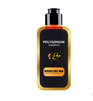 Polygonum Shampoo